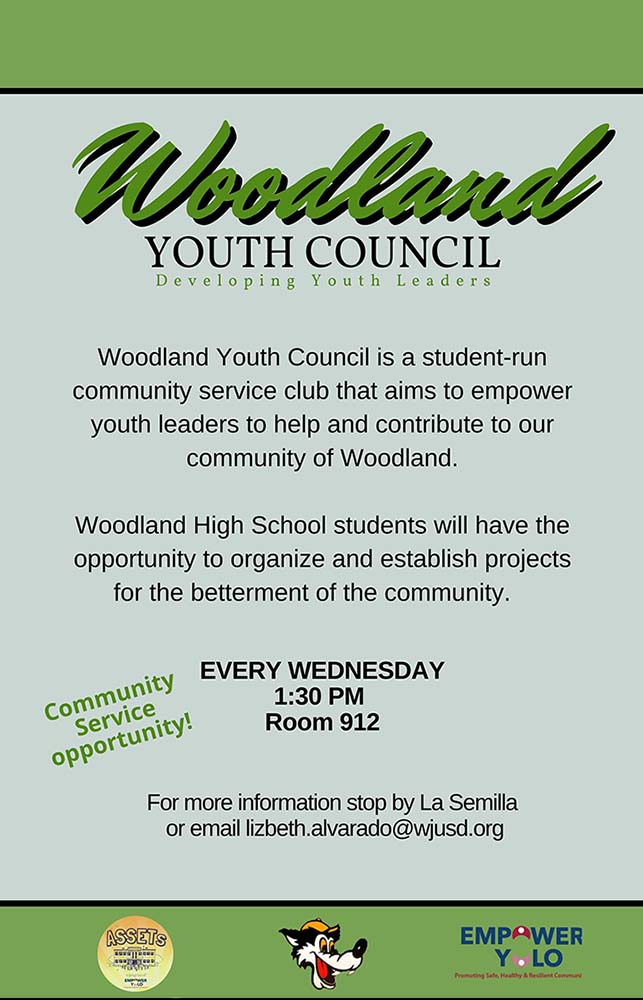 Club Flyer Youth Council